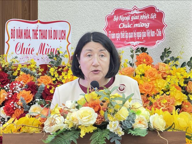 Đại sứ Chile tại Việt Nam Nasly Bernal Prado phát biểu tại buổi Gặp gỡ. Ảnh: Hải Ngọc - TTXVN