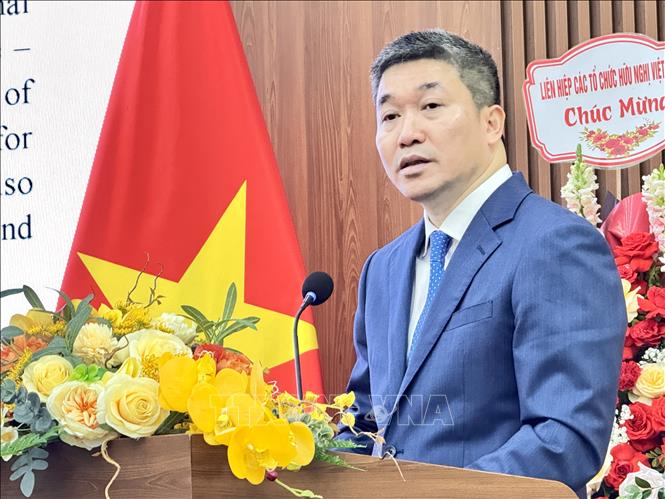 Chủ tịch Liên hiệp các tổ chức hữu nghị Việt Nam Phan Anh Sơn phát biểu tại buổi Gặp gỡ. Ảnh: Hải Ngọc - TTXVN