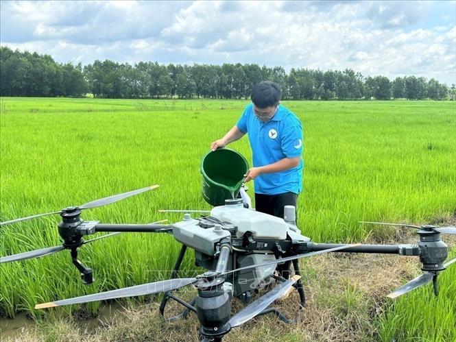 Đoàn viên tỉnh Đồng Nai thử nghiệm máy bay hỗ trợ nông nghiệp, góp phần rút ngắn thời gian sản xuất, giải phóng sức lao động cho nông dân địa phương. Ảnh: TTXVN phát