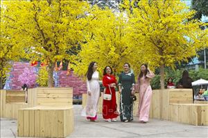 Thời tiết ngày 26/3: Bắc Bộ có sương mù buổi sáng, gia tăng nắng nóng từ cuối tháng 3