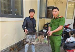 Tiếp nhận một cá thể khỉ vàng quý hiếm do người dân giao nộp