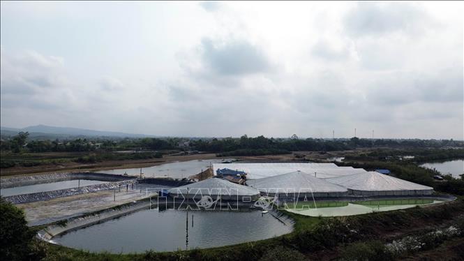 Nhiều mô hình nuôi trồng thủy sản tại xã Hải Ninh (tỉnh Quảng Ninh) mang lại hiệu quả kinh kế cao. Ảnh: Đức Hiếu – TTXVN