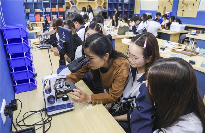 Giáo viên và học sinh trường Trung học Phổ thông Chuyên Lê Quý Đôn tỉnh Điện Biên trong giờ học STEAM. Ảnh: Xuân Tư – TTXVN