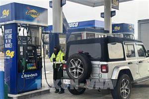 Mỹ nới lỏng quy định về nhiên liệu ethanol nhằm đảm bảo nguồn cung