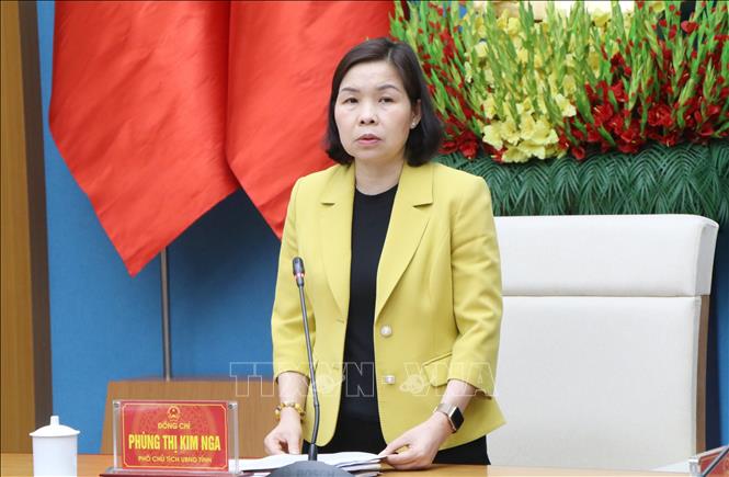 Bà Phùng Thị Kim Nga, Phó Chủ tịch UBND tỉnh Phú Thọ, phát biểu tại hội nghị. Ảnh: Thu Hương - TTXVN