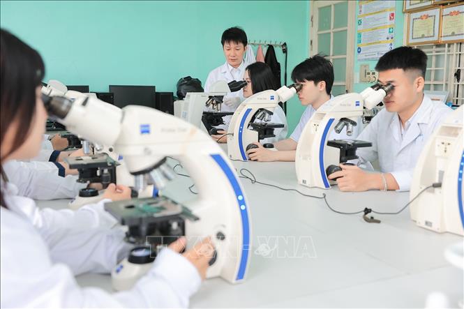 Giảng viên trực tiếp hướng dẫn sinh viên quan sát tác nhân gây bệnh trên động vật thuỷ sản bằng kính hiển vi. Ảnh: Lê Đông - TTXVN
