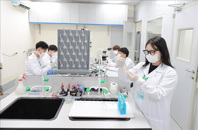 Giảng viên cùng sinh viên triển khai các thí nghiệm, phân tích mẫu trong phòng thí nghiệm chuyên sâu, phục vụ nghiên cứu, đào tạo và nâng cao kỹ năng thực hành. Ảnh: Lê Đông - TTXVN
