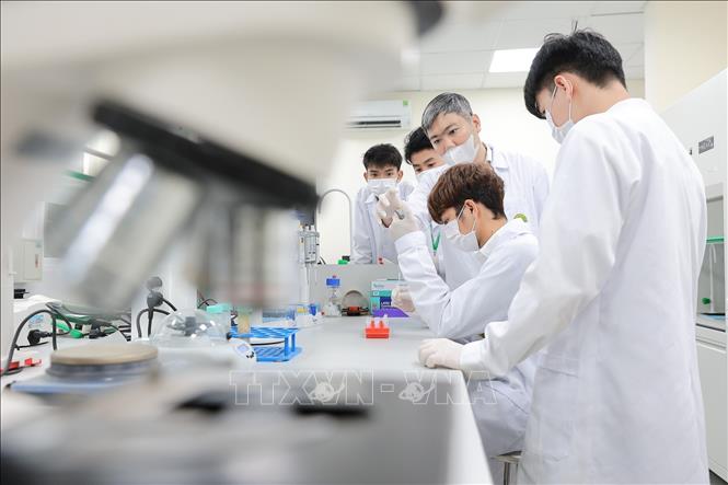 Giảng viên Khoa Thuỷ sản trực tiếp hướng dẫn sinh viên kỹ thuật phân tích trong phòng thí nghiệm. Ảnh: Lê Đông - TTXVN