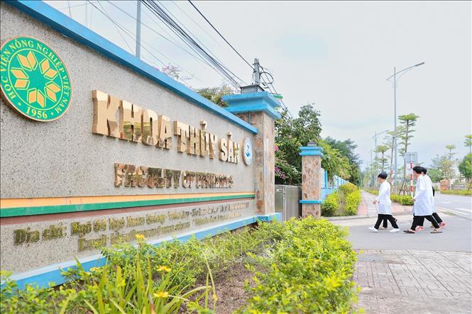 Khoa Thủy sản (Học viện Nông nghiệp Việt Nam), được thành lập năm 2015, là đơn vị đào tạo nguồn nhân lực chất lượng cao phục vụ nghiên cứu và chuyển giao kỹ thuật trong lĩnh vực thủy sản. Ảnh: Lê Đông - TTXVN
