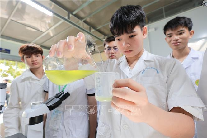 Sinh viên Khoa Thuỷ sản thực hành lấy mẫu động vật phù du để phân tích. Ảnh: Lê Đông - TTXVN
