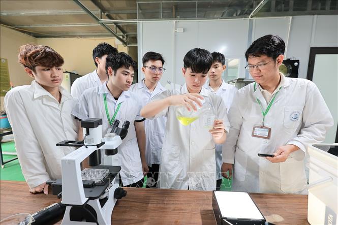 Sinh viên Khoa Thuỷ sản thực hành lấy mẫu động vật phù du để phân tích dưới sự hướng dẫn của giảng viên. Ảnh: Lê Đông - TTXVN
