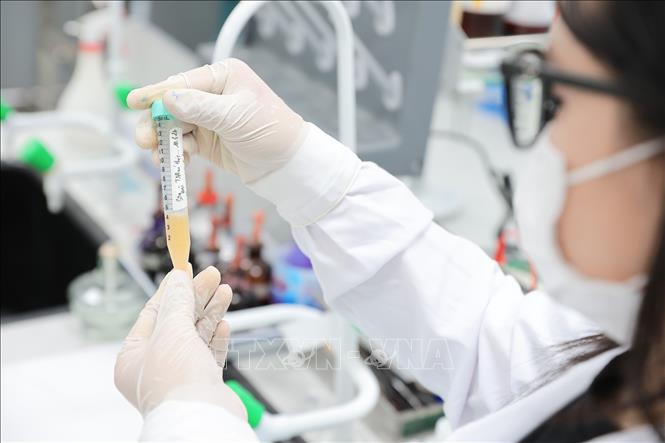 Giảng viên cùng sinh viên triển khai các thí nghiệm, phân tích mẫu trong phòng thí nghiệm chuyên sâu, phục vụ nghiên cứu, đào tạo và nâng cao kỹ năng thực hành. Ảnh: Lê Đông - TTXVN