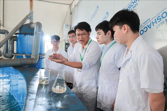 Sinh viên được hướng dẫn nhận biết dấu hiệu tôm, cua bị stress thông qua quan sát hành vi, màu sắc và phản ứng trong hệ thống nuôi. Ảnh: Lê Đông - TTXVN
