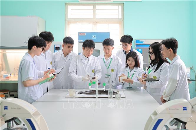 Giảng viên Khoa Thủy sản hướng dẫn sinh viên quan sát lâm sàng và chẩn đoán bệnh trên động vật thủy sản. Ảnh: Lê Đông - TTXVN
