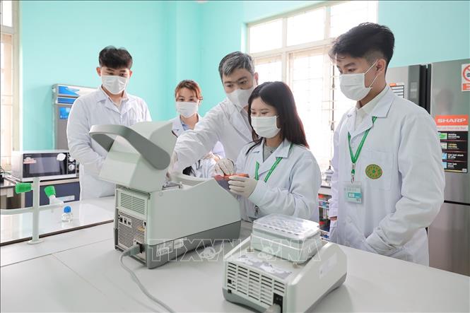 Sinh viên Khoa Thủy sản được giảng viên hướng dẫn sử dụng máy Phân tích và chẩn đoán tác nhân gây bệnh bằng phương pháp sinh học phân tử trong phòng thực hành. Ảnh: Lê Đông - TTXVN
