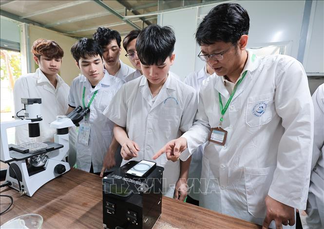 Giảng viên hướng dẫn sinh viên Khoa Thủy sản vận hành các thiết bị hiện đại tích hợp AI và IoT để tự động nhận diện, đếm và phân tích động vật phù du. Ảnh: Lê Đông - TTXVN
