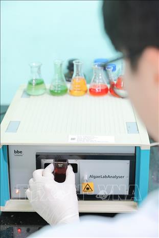 Sinh viên thực hành trên thiết bị phân tích mẫu nước để theo dõi và quản lý chất lượng môi trường nước thủy sản. Ảnh: Lê Đông - TTXVN
