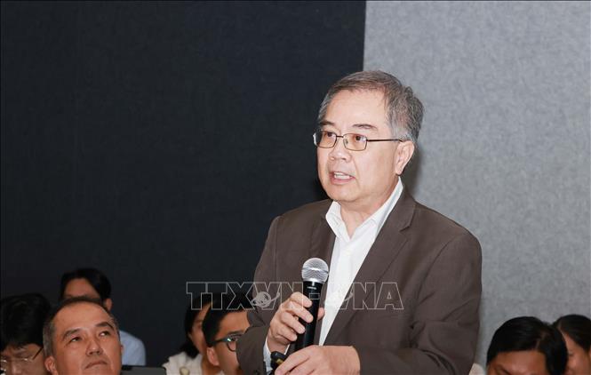 Chuyên gia góp ý tại hội thảo. Ảnh: Thu Hoài - TTXVN