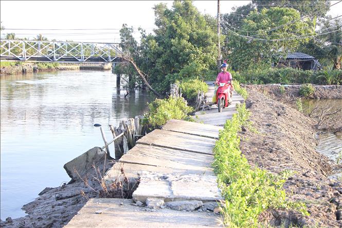 Cà Mau có hệ thống sông ngòi chằng chịt nên tình trạng sạt lở, sụt lún các tuyến đường giao thông nông thôn diễn ra thường xuyên, gây khó khăn cho việc lưu thông của người dân. Ảnh: Chanh Đa-TTXVN