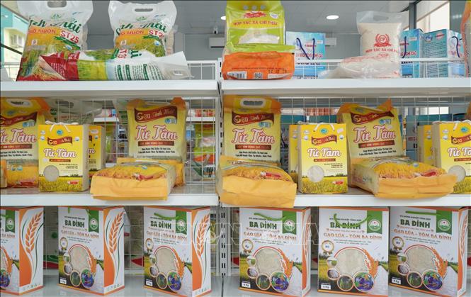 Cửa hàng trưng bày và bán sản phẩm OCOP có gần 100 sản phẩm OCOP chủ lực của tỉnh Cà Mau. Ảnh: Tuấn Phi - TTXVN 