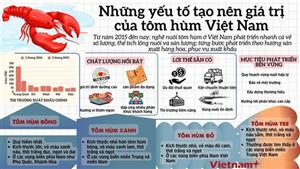 Những yếu tố tạo nên giá trị cho tôm hùm Việt Nam