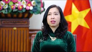 Tham vấn chính trị cấp thứ trưởng ngoại giao Việt Nam-Ireland