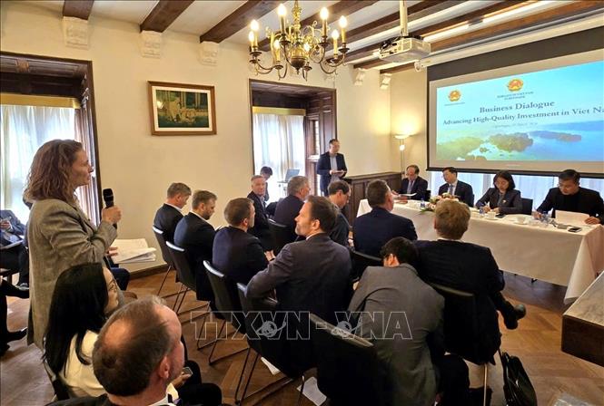 Đại diện doanh nghiệp Đan Mạch tham luận tại cuộc Đối thoại. Ảnh: TTXVN phát