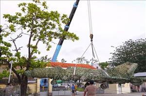 Di dời để bảo tồn chiếc máy bay tiêm kích MiG-21 sau 4 thập kỷ bị 'bỏ quên'