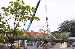 Cà Mau: Di dời để bảo tồn máy bay tiêm kích MiG-21 sau bốn thập kỷ bị 