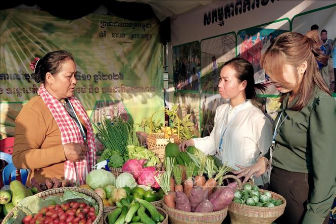 Lễ hội Sông nước tại tỉnh Kratie là cơ hội để các cơ sở kinh doanh, doanh nghiệp địa phương giới thiệu và quảng bá sản phẩm thủ công mỹ nghệ, đặc sản vùng miền địa phương. Ảnh: Quang Anh – PV TTXVN tại Campuchia.