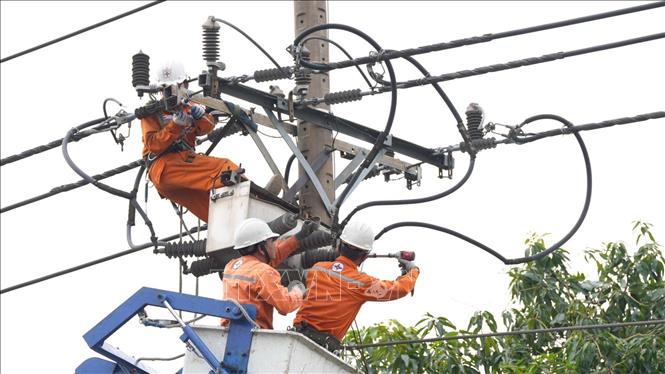 Nhân viên Công ty Điện lực Thuận An (Tổng Công ty Điện lực Thành phố Hồ Chí Minh) bảo trì đường dây để đảm bảo điện an toàn, ổn định hệ thống điện trước mùa khô năm 2026. Ảnh: Thanh Vũ - TTXVN
