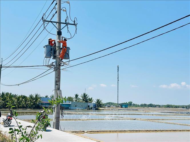 Nhân viên Công ty Điện lực Tân Thuận (Tổng Công ty Điện lực Thành phố Hồ Chí Minh) kiểm tra hệ thống lưới điện tại ấp Thiềng Liềng, xã Thạnh An. Ảnh: TTXVN phát
