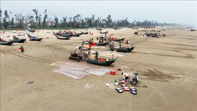 Từ khoảng 7h sáng, tại bãi biển xã Tiên Điền các tàu thuyền nhộn nhịp cập bờ. Ảnh: Hữu Quyết – TTXVN