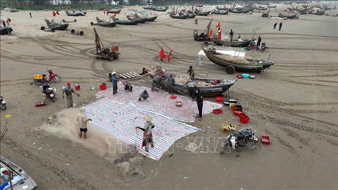 Ngư dân tại thôn Hải Lợi, xã Tiên Điền gỡ lưới sau khi thuyền cập bờ. Ảnh: Hữu Quyết - TTXVN