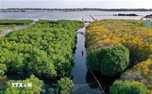 Huế hướng tới thành phố du lịch xanh hàng đầu Việt Nam