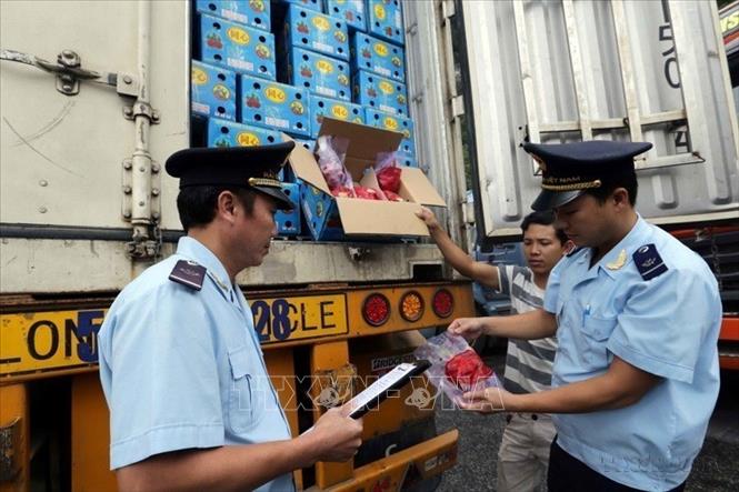 Kiểm tra hàng nông thủy sản xuất khẩu qua cửa khẩu Tân Thanh, tỉnh Lạng Sơn. Ảnh: Trần Việt - TTXVN