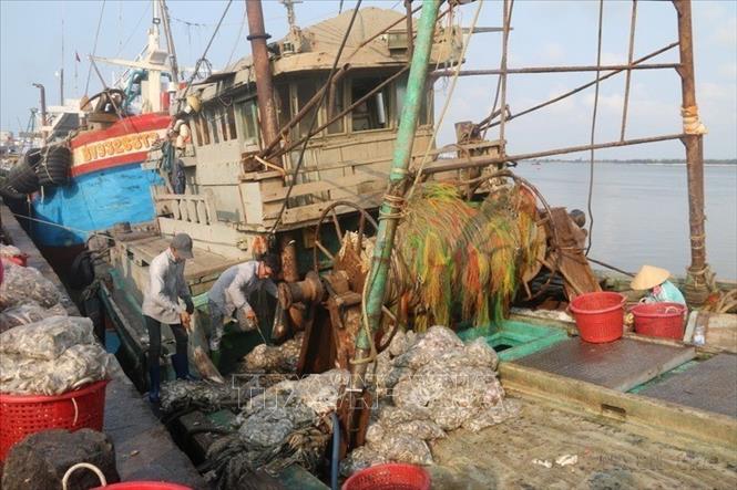 Tàu giã cào - một loại hình đánh bắt bị chấm dứt hoạt động để bảo vệ nguồn lợi thủy sản. Ảnh: Hoàng Nhị - TTXVN