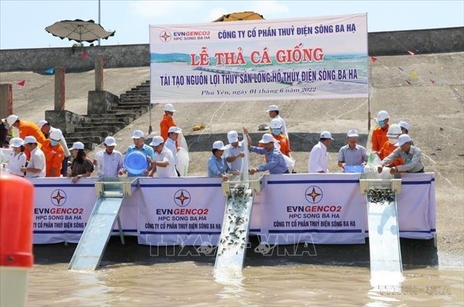Ngày 1/6/2022, Sở Nông nghiệp và Phát triển nông thôn tỉnh Phú Yên, Công ty Cổ phần thủy điện Sông Ba Hạ tổ chức lễ thả 50.000 cá giống tái tạo nguồn lợi thủy sản trên lòng hồ thủy điện Sông Ba Hạ, huyện Sơn Hòa. Hoạt động nhằm góp phần tái tạo nguồn lợi thủy sản, hưởng ứng Ngày Môi trường thế giới 5/6 và tháng Hành động vì môi trường năm 2022. Ảnh: Phạm Cường - TTXVN