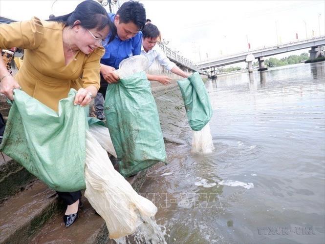 Ngày 31/8/2023, tại khu vực sông Vàm Cỏ Tây, thành phố Tân An, Sở Nông nghiệp và Phát triển nông thôn phối hợp cùng Ban Trị sự Giáo hội Việt Nam tỉnh Long An tổ chức Lễ phát động thả cá giống nước ngọt có giá trị kinh tế, tái tạo nguồn lợi thủy sản. Ảnh: Thanh Bình - TTXVN