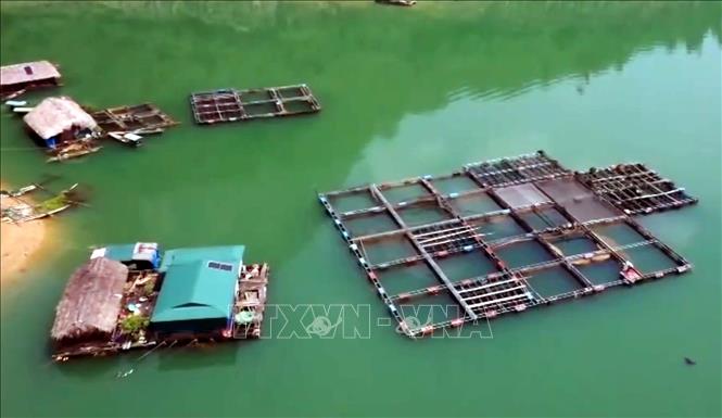 Nhiều diện tích nuôi cá lồng trên sông Gâm ở Minh Ngọc (Tuyên Quang) phát huy hiệu quả. Ảnh: TTXVN phát