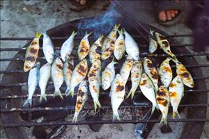 Nghệ An: Cá trích nướng than hoa tại các làng biển Hải Châu bất ngờ hút khách