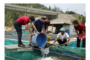 Agribank Bình Định: Điểm tựa tài chính vững vàng nơi đầu sóng