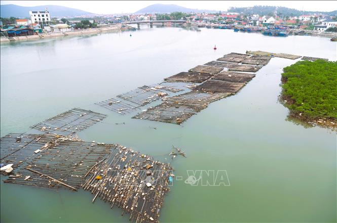 Những giàn hàu qua thời gian sử dụng lâu năm trở nên hư hỏng, không còn sử dụng trôi nổi trên lòng sông Hoàng Mai gây ô nhiễm môi trường và tiềm ẩn nguy cơ tai nạn giao thông đường thủy rất lớn. Ảnh: Xuân Tiến - TTXVN
