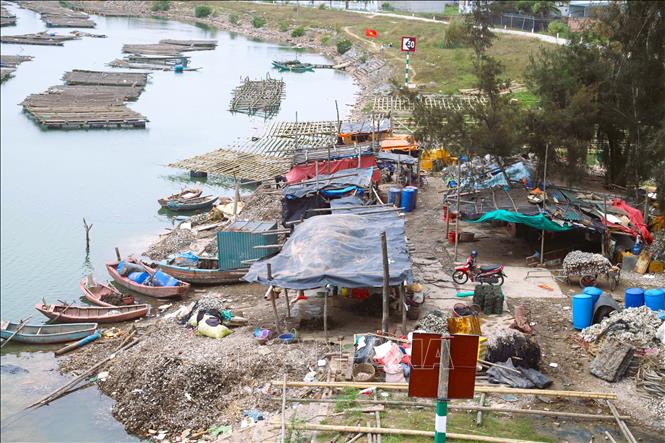 Lều lán của chủ các giàn nuôi hàu được dựng ngay sát bên sông Hoàng Mai để thuận tiện cho việc chăm sóc, trông coi, thu hoạch hàu. Ảnh: Xuân Tiến - TTXVN 