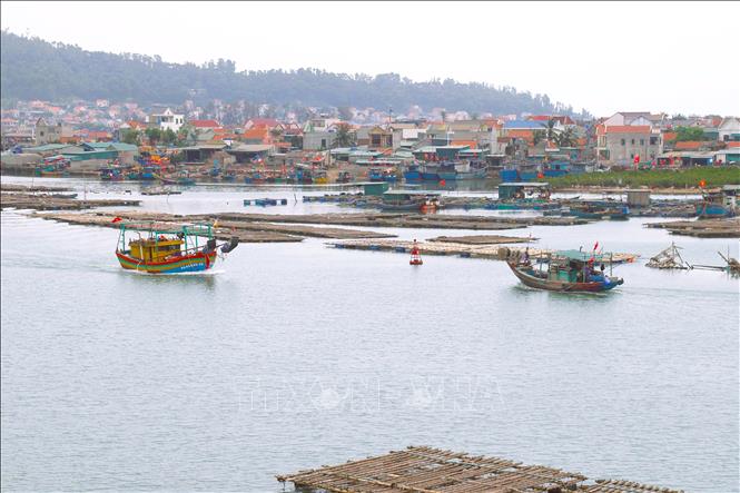 Tàu thuyền của ngư dân di chuyển trên sông Hoàng Mai để ra cửa biển Lạch Cờn gặp khó khăn bởi “ma trận” giàn nuôi hàu trái phép trên sông. Ảnh: Xuân Tiến - TTXVN 
