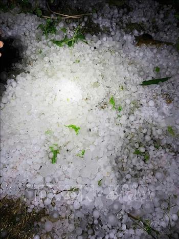 Những cơn mưa đá trút xuống, tạo thành đống tại xã Bảo Lâm (Cao Bằng) chiều tối 31/3. Ảnh: TTXVN phát
