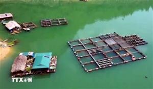 Nông dân thu hàng trăm triệu đồng từ những mô hình kinh tế mới