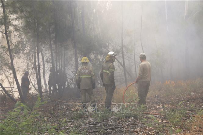 Lính cứu hỏa dập đám cháy rừng gần Unhais da Serra, Bồ Đào Nha ngày 22/8/2025. Ảnh: THX/TTXVN