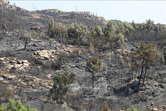 Khu vực bị tàn phá do cháy rừng tại Castelo Novo, Bồ Đào Nha ngày 22/8/2025. Ảnh: THX/TTXVN
