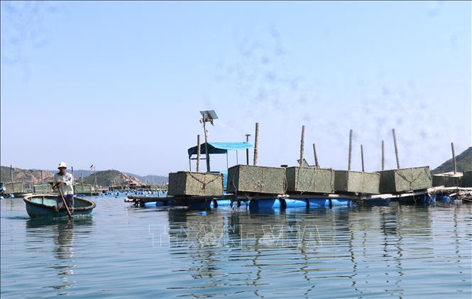 Vùng nuôi tôm hùm tại tỉnh Đắk Lắk trở nên vắng lặng trong mùa vụ mới. Ảnh: Tường Quân - TTXVN